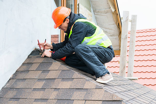 Best Flat Roof Repair Services  in Lamar, MO